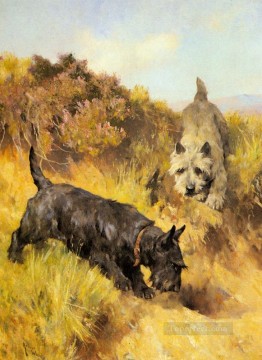 犬 Painting - 風景の中の 2 つのスコッティ 動物 アーサー ウォードル犬
